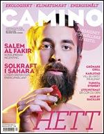 Camino