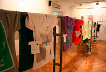 Exposici�n Camisetas N�rdicas